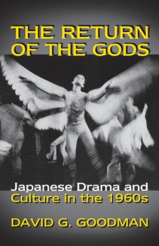 Könyv Return of the Gods David G Goodman