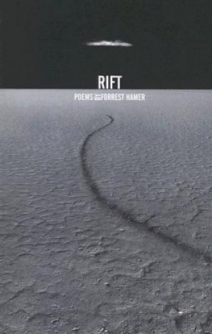 Buch Rift Forrest Hamer