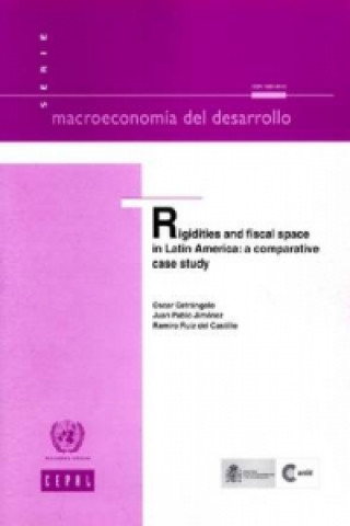 Buch Rigidities and Fiscal Space in Latin America 