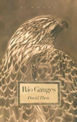 Kniha Rio Ganges David Theis