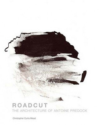 Kniha Roadcut Christopher Mead