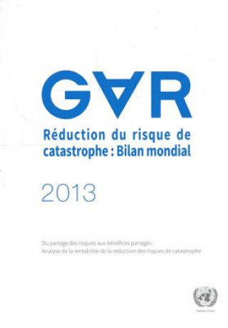 Carte Reduction du risque de catastrophe, Bilan mondial 2013 International Strategy for Disaster Reduction