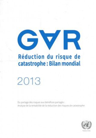 Knjiga Reduction du risque de catastrophe, Bilan mondial 2013 International Strategy for Disaster Reduction