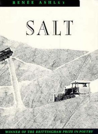 Knjiga Salt Renaee Ashley