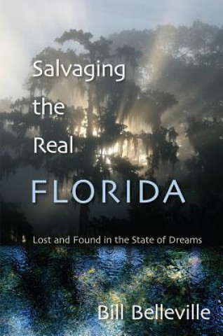 Kniha Salvaging The Real Florida Bill Belleville