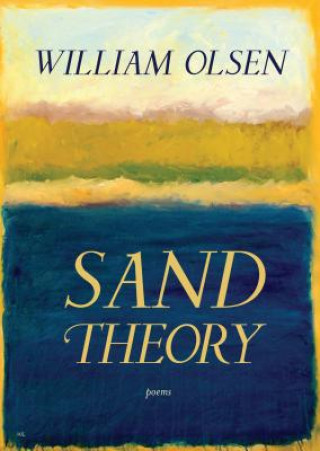 Książka Sand Theory William Olsen