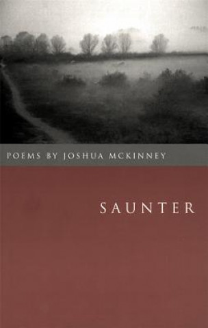 Könyv Saunter Joshua Mckinney