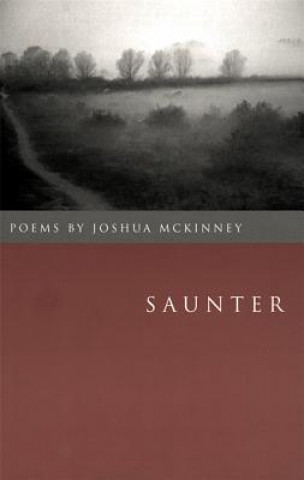 Kniha Saunter Joshua Mckinney