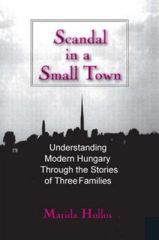 Kniha Scandal in a Small Town Marida C. Hollos