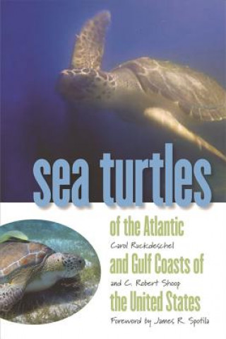 Carte Sea Turtles of the Atlantic and Gulf Coasts of the United States C.Robert Shoop