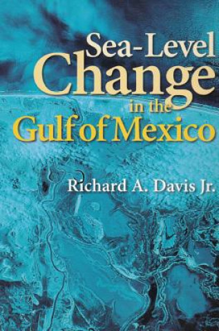 Книга Sea-Level Change in the Gulf of Mexico Richard A. Davis