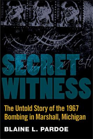 Buch Secret Witness Blaine Pardoe