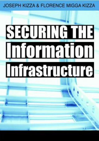 Βιβλίο Securing the Information Infrastructure Florence Migga Kizza
