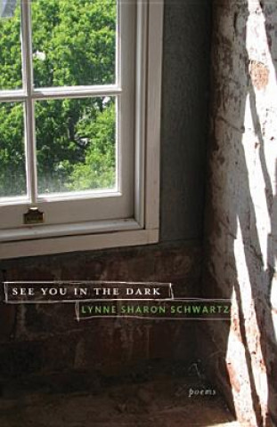 Livre See You in the Dark Lynne Sharon Schwartz