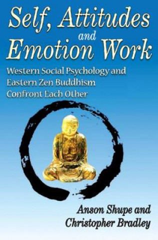 Kniha Self, Attitudes, and Emotion Work Christopher Bradley