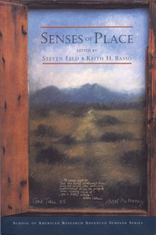 Book Senses of Place 