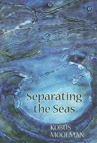 Kniha Separating the seas Kobus Moolman