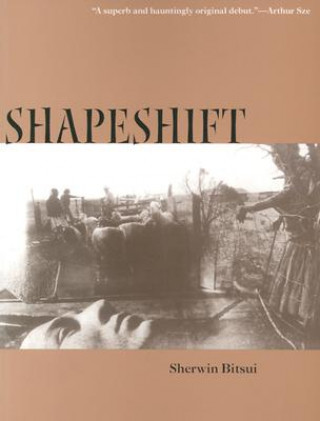 Book Shapeshift Sherwin Bitsui