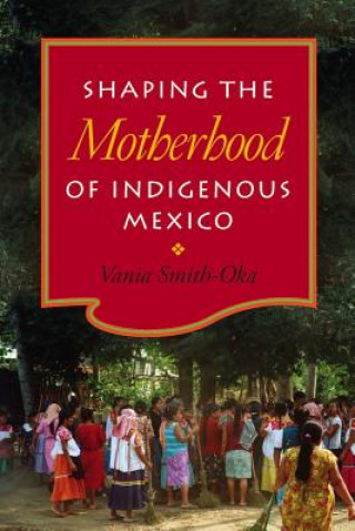 Kniha Shaping the Motherhood of Indigenous Mexico Vania Smith-Oka