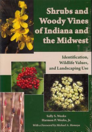 Knjiga Shrubs and Woody Vines of Indiana and the Midwest Harmon P. Weeks