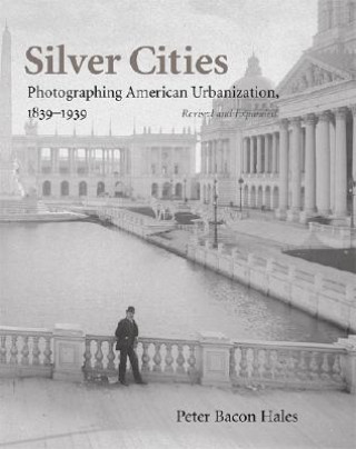 Knjiga Silver Cities Peter Bacon Hales
