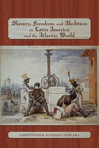 Kniha Slavery, Freedom, and Abolition in Latin America and the Atlantic World Christopher Schmidt-Nowara