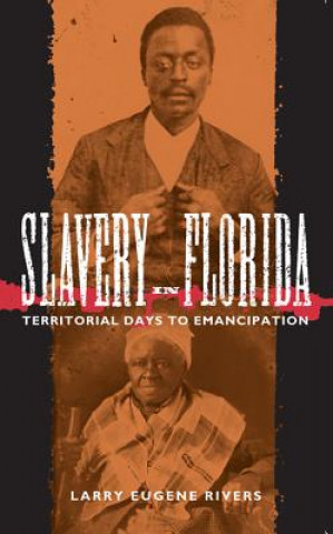 Книга Slavery in Florida Larry E. Rivers