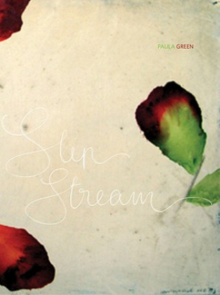 Buch Slip Stream Paula Green