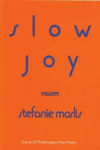 Buch Slow Joy Stefanie Marlis