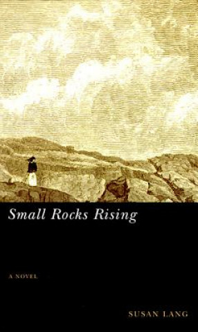 Book Small Rocks Rising Susan Lang