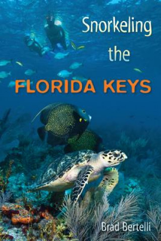 Kniha Snorkeling the Florida Keys MR Brad Bertelli