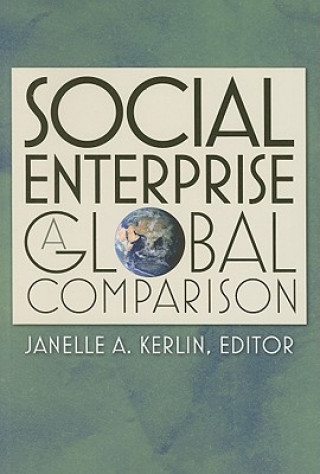 Könyv Social Enterprise Janelle A. Kerlin
