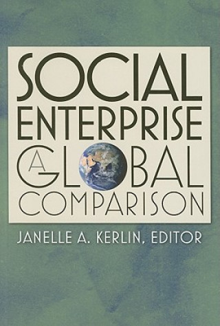 Livre Social Enterprise Janelle A. Kerlin