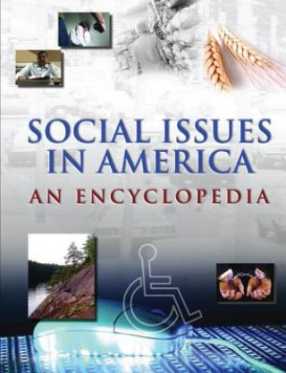 Kniha Social Issues in America James Ciment