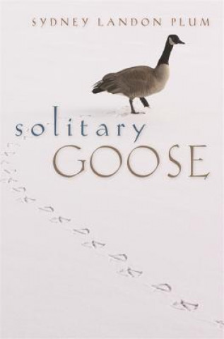 Könyv Solitary Goose Sydney Landon Plum