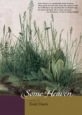 Книга Some Heaven Todd Davis