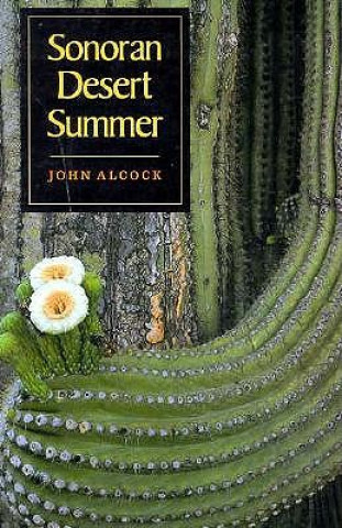 Carte Sonoran Desert Summer John Alcock