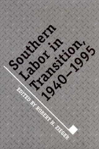 Kniha Southern Labor In Transition Robert H. Zieger