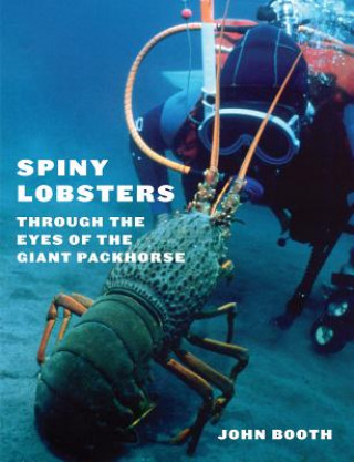 Könyv Spiny Lobsters John Booth