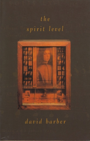 Könyv Spirit Level David Barber