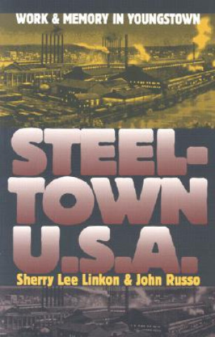 Knjiga Steeltown U.S.A. John Russo