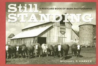 Book Still Standing Michael P. Harker