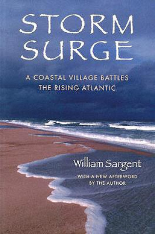 Kniha Storm Surge William Sargent