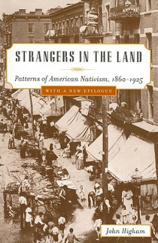Kniha Strangers in the Land Higham