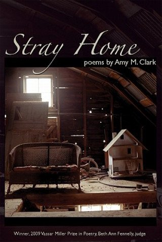 Könyv Stray Home Amy M. Clark