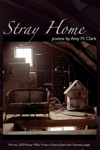 Książka Stray Home Amy M. Clark