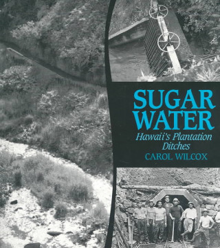 Książka Sugar Water Carol Wilcox