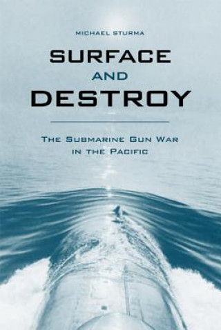 Book Surface and Destroy Michael Sturma