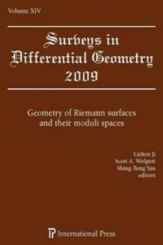 Kniha Surveys in Differential Geometry, Volume XIV 