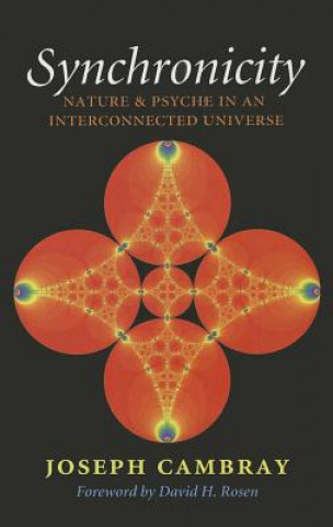 Kniha Synchronicity: Nature and Psyche in an Interconnected Universe Joseph Cambray